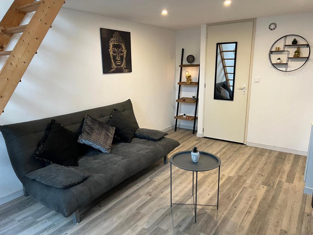 טולוז Appartement Cosy Proche Gare מראה חיצוני תמונה